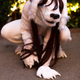 Image for article titled Our Favorite Cosplay From Katsucon 2022